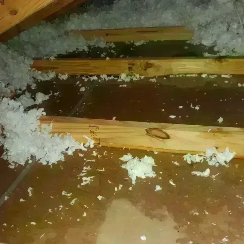 Attic Water Damage in Brewster, NE