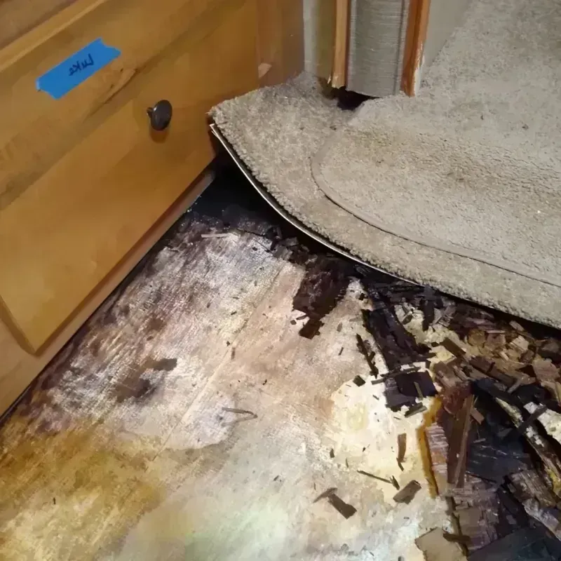 Best Wood Floor Water Damage Service in Brewster, NE